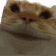 MaybeMaybe