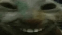 xddMunch emote