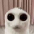 FEELTHEWEIGHTOFYOURSINS emote