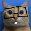 Apokuna emote