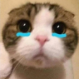 Bibi emote