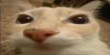 Otag emote
