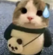 Oopsie emote