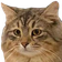 PpPeepo