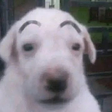 Waos emote