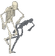 SkeletonPls