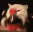 CokeShakey emote
