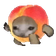 Peachcatrun