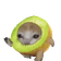 Kiwicatrun