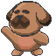 kayaPls