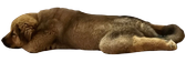 kayaLay