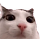 Plink