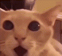 Woow emote