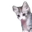 Wassup emote