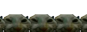 xddConga emote