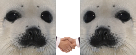 SealTheDeal emote
