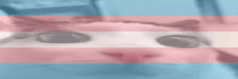 transplinK emote