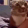 catAsking