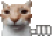 CatWaiting
