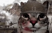 Warr emote
