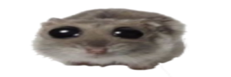 Hampter emote