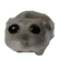 sadHamster
