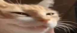 NYEHEHEHE emote