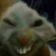 XDXX
