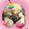 omgKAYA emote