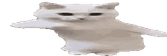 wideTime