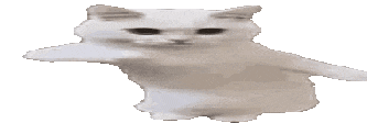wideTime emote
