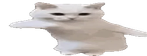 CatTime