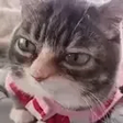 Alright emote