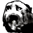 poroAgony emote