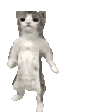 catGroove emote