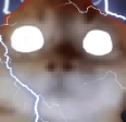 NOWC emote