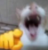 XDDD