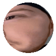 spiggSphere emote