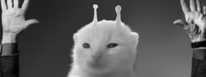 Glinema emote