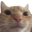 Neutral emote