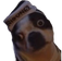 seqInmate