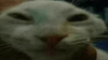 xddX