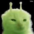 GLORPGETSFUCKINGEXPLODED emote