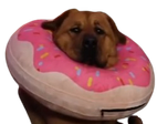KayaDonut emote