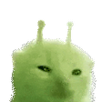 Glorping emote