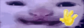HiiiPack