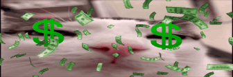 greeD emote