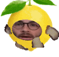 lemonBro emote