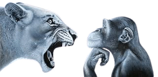 Ragebait emote