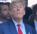 Trump emote